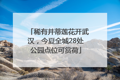 稀有并蒂莲花开武汉，今夏全城28处公园点位可赏荷