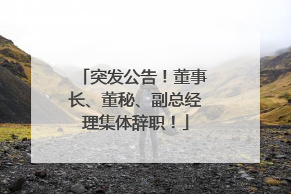 突发公告！董事长、董秘、副总经理集体辞职！