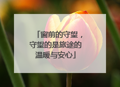 窗前的守望，守望的是旅途的温暖与安心