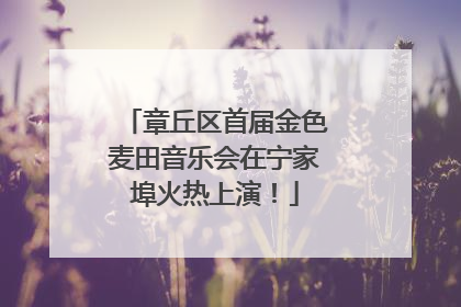 章丘区首届金色麦田音乐会在宁家埠火热上演！