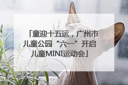 童迎十五运，广州市儿童公园“六一”开启儿童MINI运动会