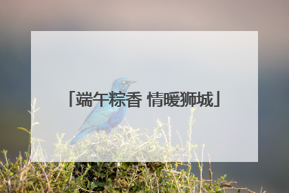 端午粽香 情暖狮城