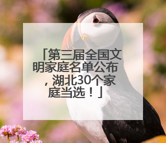 第三届全国文明家庭名单公布，湖北30个家庭当选！