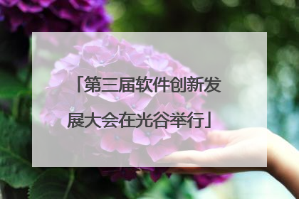第三届软件创新发展大会在光谷举行