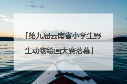 第九届云南省小学生野生动物绘画大赛落幕