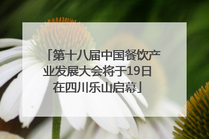第十八届中国餐饮产业发展大会将于19日在四川乐山启幕