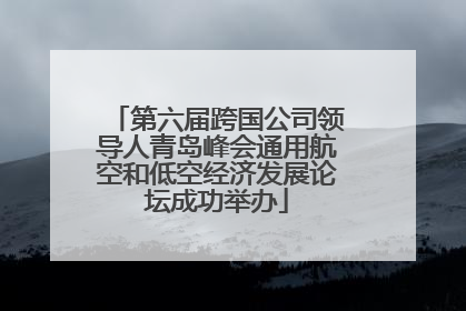 第六届跨国公司领导人青岛峰会通用航空和低空经济发展论坛成功举办