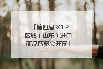 第四届RCEP区域（山东）进口商品博览会开幕