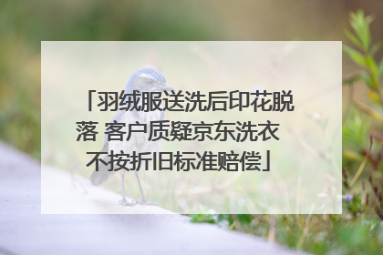 羽绒服送洗后印花脱落 客户质疑京东洗衣不按折旧标准赔偿