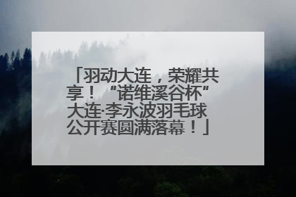 羽动大连，荣耀共享！“诺维溪谷杯”大连·李永波羽毛球公开赛圆满落幕！