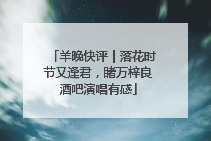 羊晚快评｜落花时节又逢君，睹万梓良酒吧演唱有感