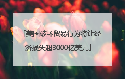 美国破坏贸易行为将让经济损失超3000亿美元