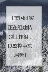 美国证实正在组建特别工作组，以监控中东局势