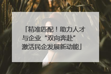 精准匹配！助力人才与企业“双向奔赴” 激活民企发展新动能