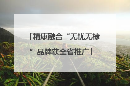 精康融合“无忧无棣”品牌获全省推广
