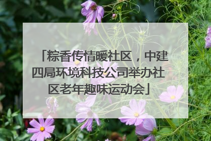 粽香传情暖社区，中建四局环境科技公司举办社区老年趣味运动会