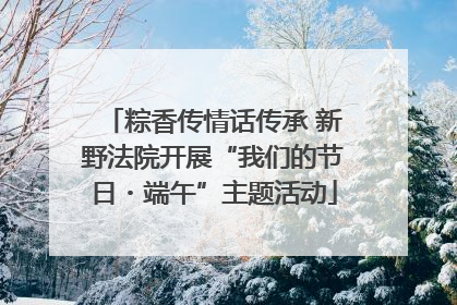 粽香传情话传承 新野法院开展“我们的节日・端午”主题活动