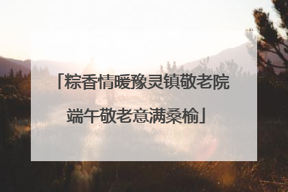 粽香情暖豫灵镇敬老院 端午敬老意满桑榆