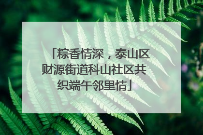 粽香情深，泰山区财源街道科山社区共织端午邻里情