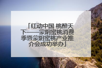 红动中国 桃醉天下——蒙阴蜜桃消费季暨蒙阴蜜桃产业推介会成功举办