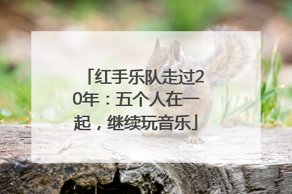 红手乐队走过20年：五个人在一起，继续玩音乐