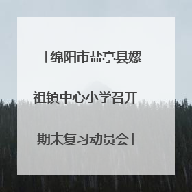 绵阳市盐亭县嫘祖镇中心小学召开期末复习动员会