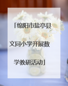 绵阳市盐亭县文同小学开展数学教研活动