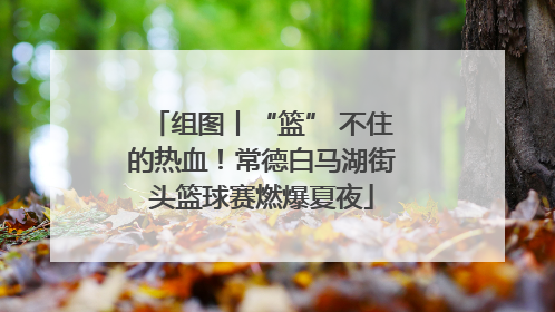 组图丨“篮” 不住的热血！常德白马湖街头篮球赛燃爆夏夜