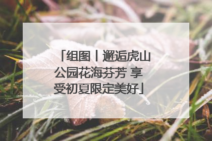 组图丨邂逅虎山公园花海芬芳 享受初夏限定美好