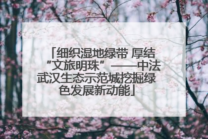 细织湿地绿带 厚结“文旅明珠”——中法武汉生态示范城挖掘绿色发展新动能