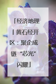 经济地理丨黄石经开区：聚企成链“芯光”闪耀