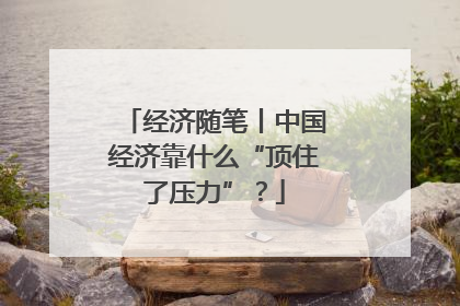 经济随笔丨中国经济靠什么“顶住了压力”？