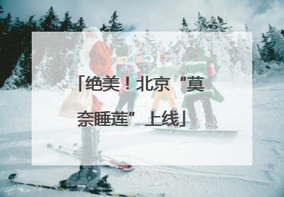 绝美！北京“莫奈睡莲”上线