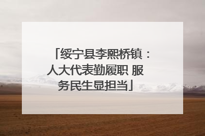 绥宁县李熙桥镇：人大代表勤履职 服务民生显担当