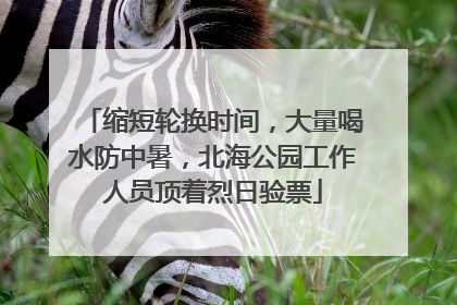 缩短轮换时间，大量喝水防中暑，北海公园工作人员顶着烈日验票