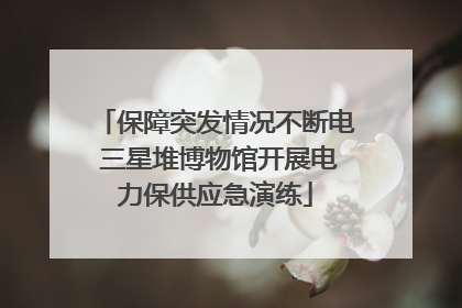 保障突发情况不断电 三星堆博物馆开展电力保供应急演练