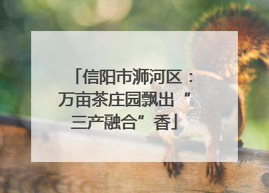 信阳市浉河区：万亩茶庄园飘出“三产融合”香