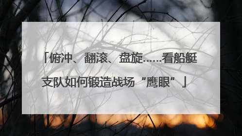 俯冲、翻滚、盘旋……看船艇支队如何锻造战场“鹰眼”