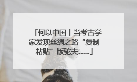 何以中国丨当考古学家发现丝绸之路“复制粘贴”版驼夫……