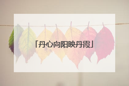 丹心向阳映丹霞