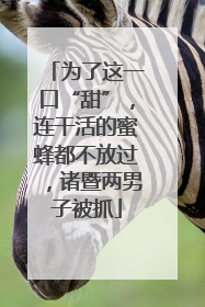 为了这一口“甜”，连干活的蜜蜂都不放过，诸暨两男子被抓