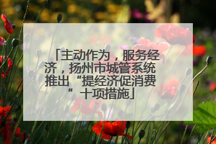 主动作为，服务经济，扬州市城管系统推出“提经济促消费”十项措施