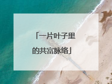 一片叶子里的共富脉络
