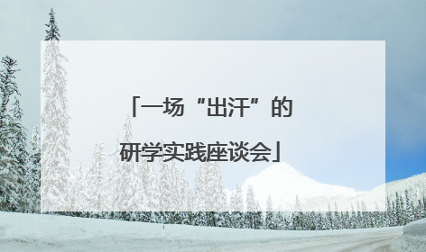 一场“出汗”的研学实践座谈会