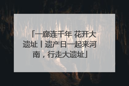 一廊连千年 花开大遗址丨遗产日一起来河南，行走大遗址