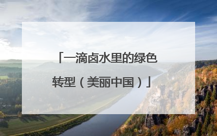 一滴卤水里的绿色转型（美丽中国）