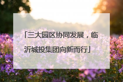 三大园区协同发展，临沂城投集团向新而行
