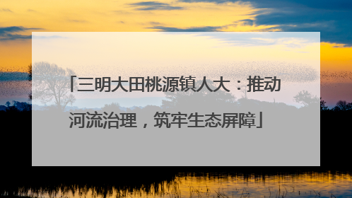 三明大田桃源镇人大：推动河流治理，筑牢生态屏障