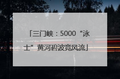 三门峡：5000“泳士”黄河碧波竞风流