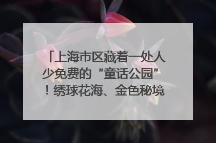 上海市区藏着一处人少免费的“童话公园”！绣球花海、金色秘境……地铁直达→